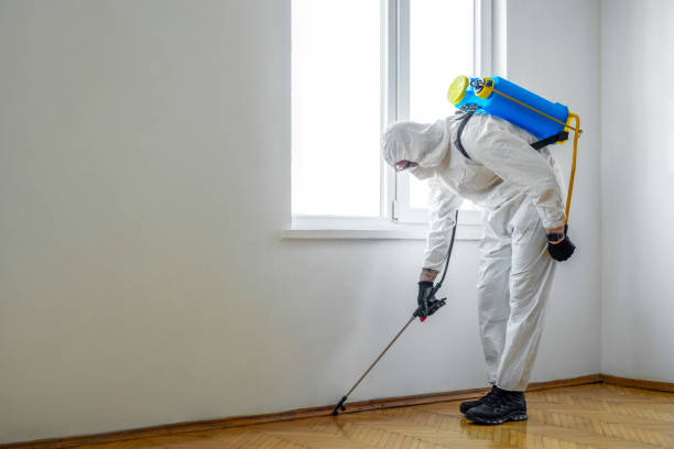 Best Bed Bug Extermination  in Des Allemands, LA